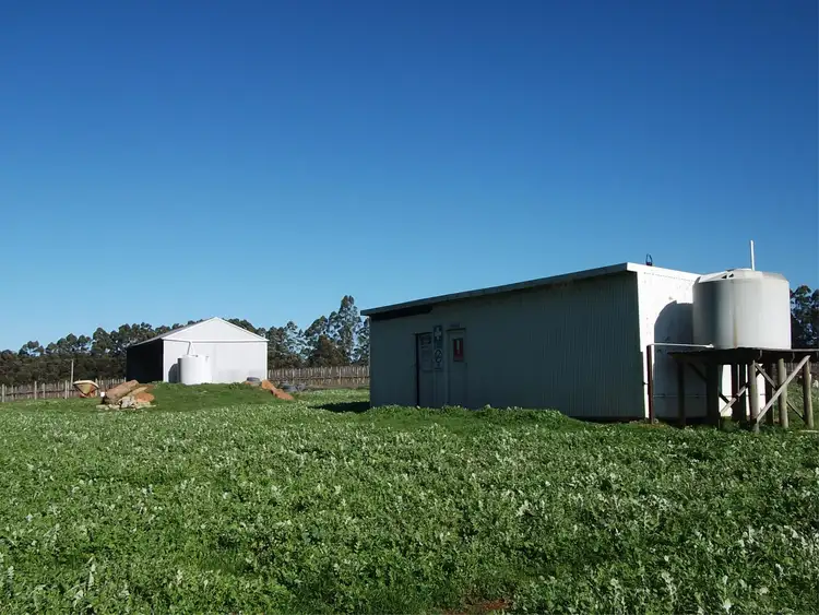 Fourth view of Homely rural property listing, 696 Graphite Road, Manjimup WA 6258