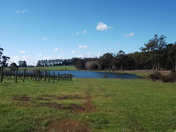 Fifth view of Homely rural property listing, 696 Graphite Road, Manjimup WA 6258