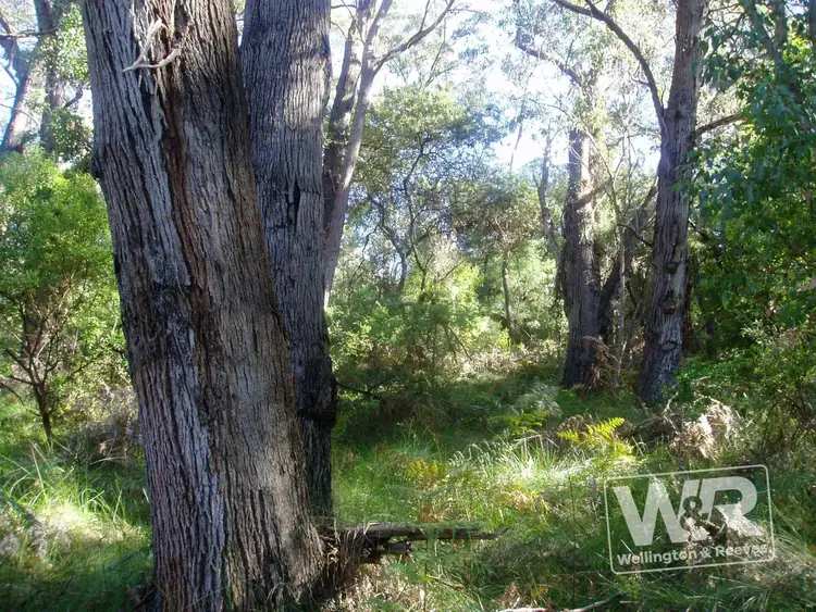 Sixth view of Homely rural property listing, Lot 2 Homestead Road, Manypeaks WA 6328