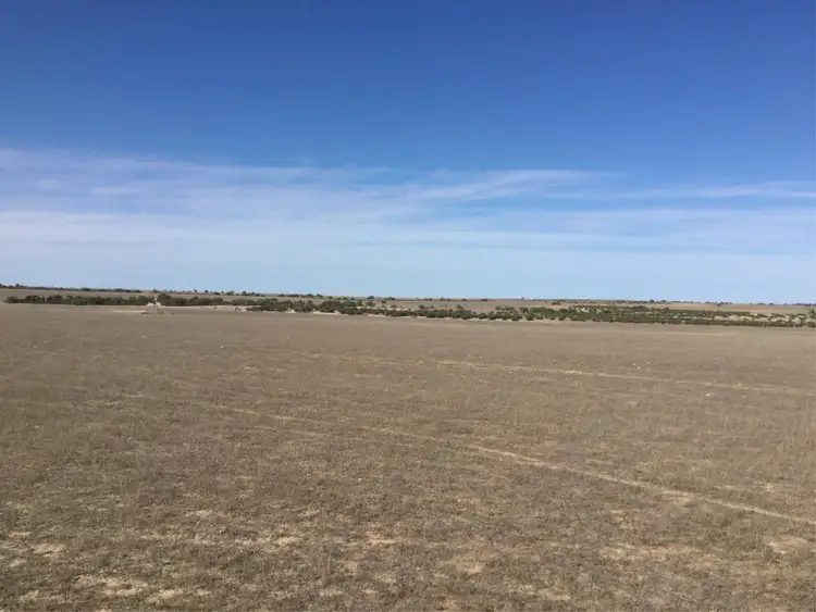 Sixth view of Homely rural property listing, 1534 Turkey Flat Road Kadathinni, Three Springs WA 6519