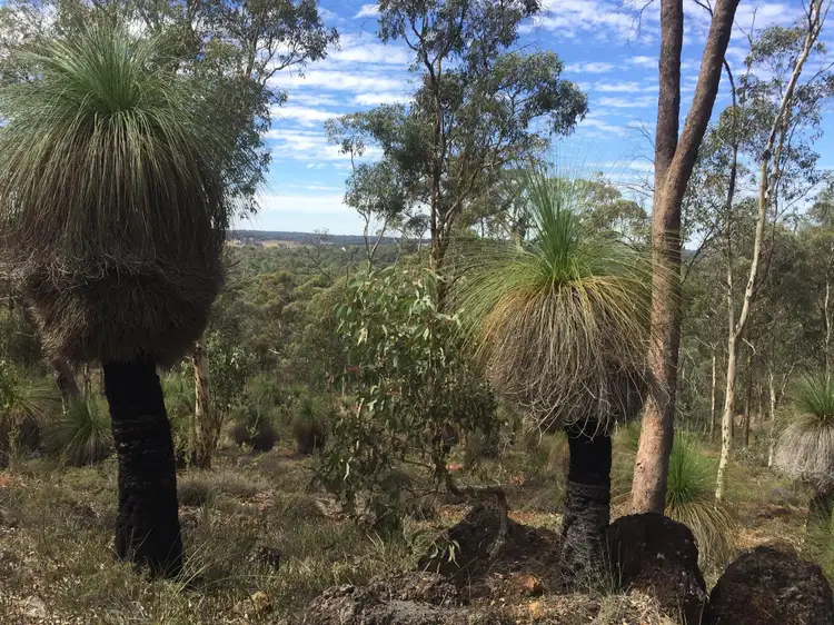 Third view of Homely house listing, 79 Powder Bark Road, Toodyay WA 6566