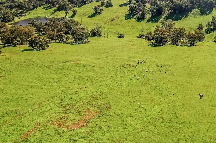Fourth view of Homely house listing, 480 Keating Road, Toodyay WA 6566