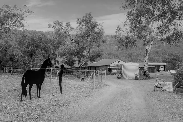 Second view of Homely house listing, 8 Acacia Close, Toodyay WA 6566