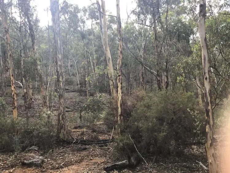 Fifth view of Homely land listing, 53 White Gum Ridge, Toodyay WA 6566