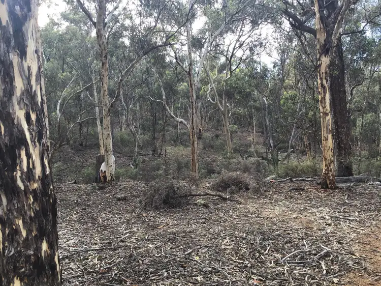 Seventh view of Homely land listing, 53 White Gum Ridge, Toodyay WA 6566