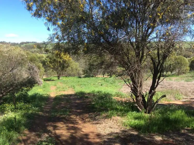 Fifth view of Homely land listing, 53 Toodyay Street, Toodyay WA 6566