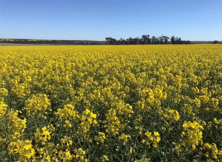 Main view of Homely rural property listing, Lot 617 Nambling North Road, Dowerin WA 6461
