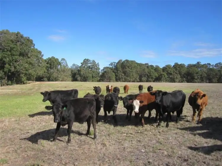 Fourth view of Homely rural property listing, LOT 101 BOUNDARY ROAD, Capel River WA 6271