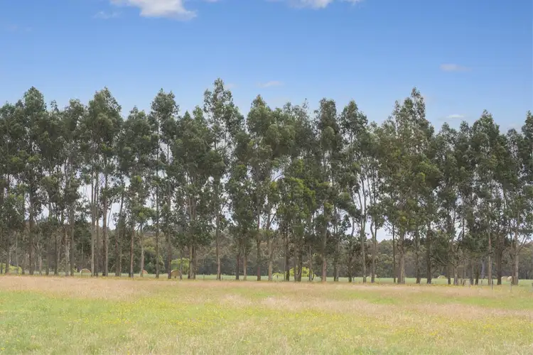 Sixth view of Homely rural property listing, 507 Manear Road, Rosa Brook WA 6285