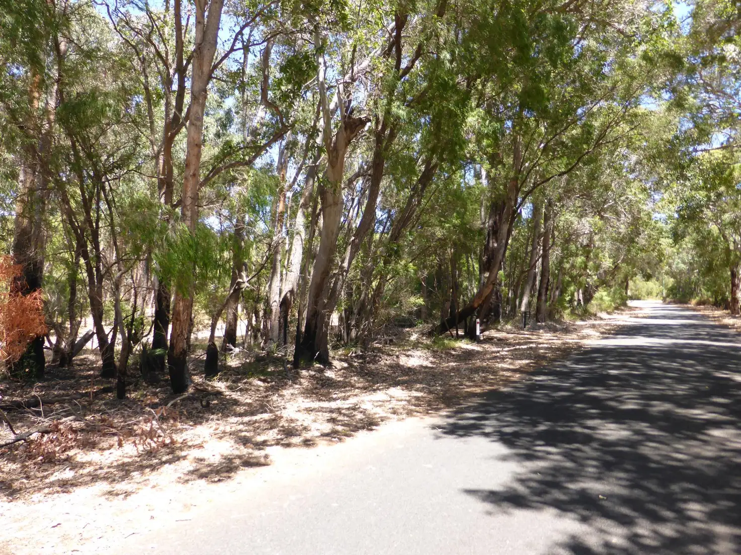 Main view of Homely house listing, 143 Greenhill Rd, Augusta WA 6290