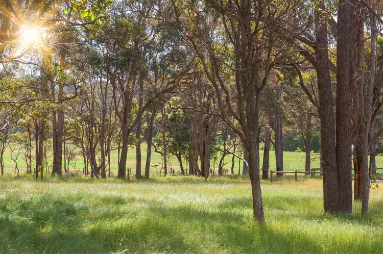 Lot 10, 13 Rowe Road West, Witchcliffe WA 6286