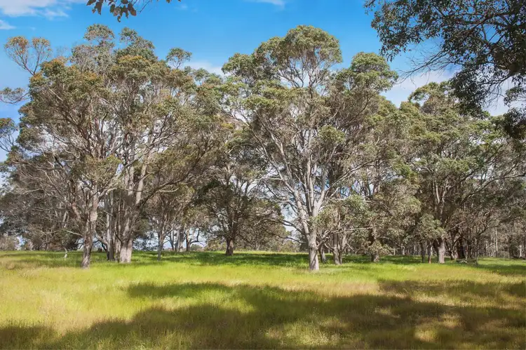 Third view of Homely land listing, Lot 10, 13 Rowe Road West, Witchcliffe WA 6286