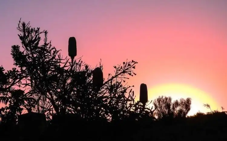 Fourth view of Homely house listing, 13A Fluellen Way, Hamilton Hill WA 6163