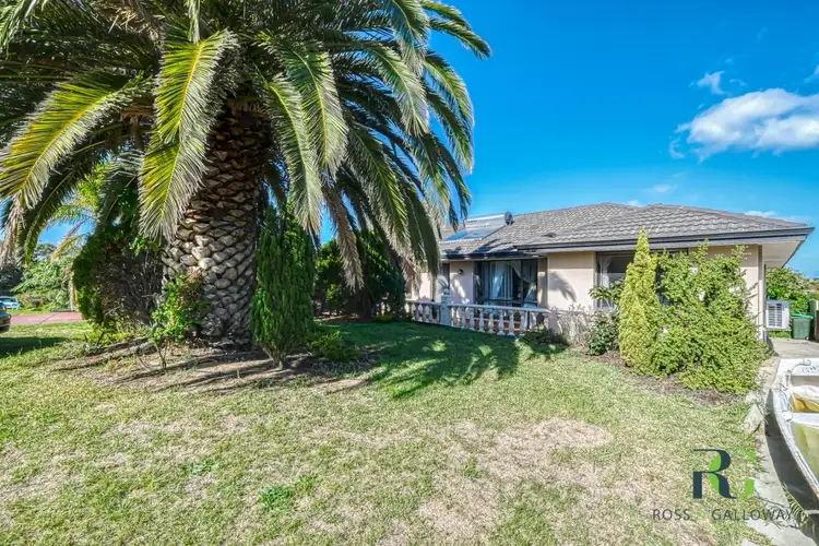 38 Wheeler Road, Hamilton Hill WA 6163
