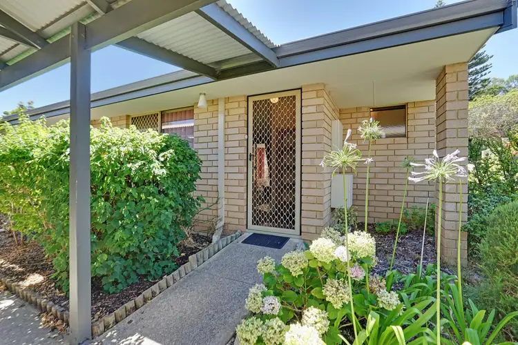 Main view of Homely retirement listing, 16/201-205 Scarborough Beach Road, Mount Hawthorn WA 6016