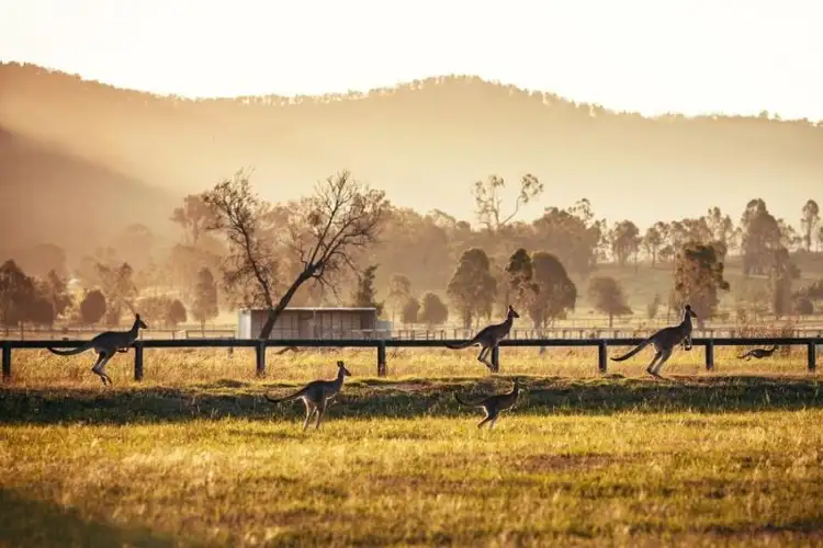Fifth view of Homely land listing, Lot 829, Yorrell Road, Baldivis WA 6171