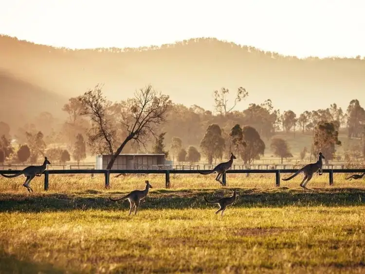 Fifth view of Homely land listing, Lot 828, Yorrell Road, Baldivis WA 6171