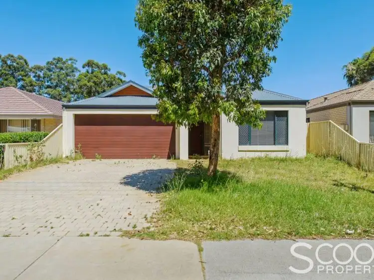Main view of Homely house listing, 46A Gribble Avenue, Armadale WA 6112