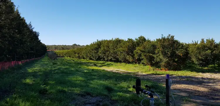 Second view of Homely rural property listing, 201 Dooling Road, Neergabby WA 6503