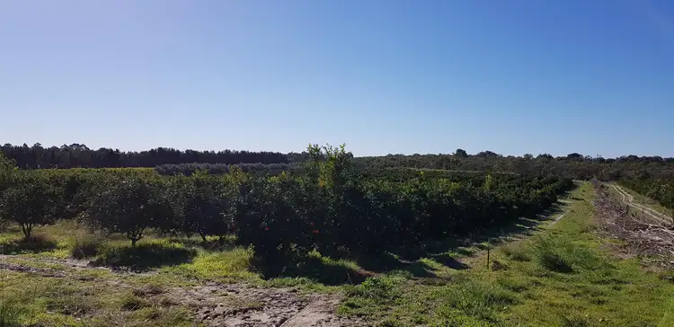 Fifth view of Homely rural property listing, 201 Dooling Road, Neergabby WA 6503