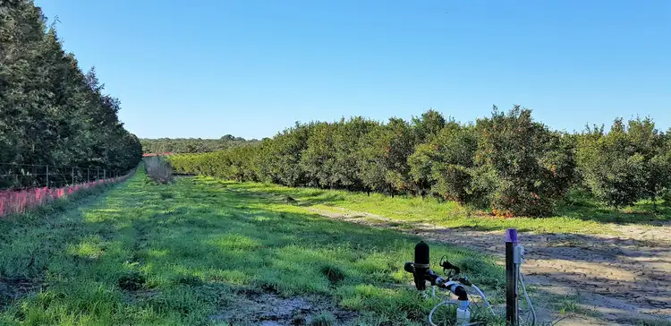 Seventh view of Homely rural property listing, 201 Dooling Road, Neergabby WA 6503