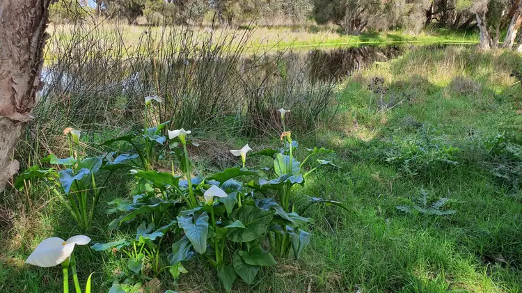 Second view of Homely rural property listing, Lot 54, Gingin Brook Road, Gingin WA 6503