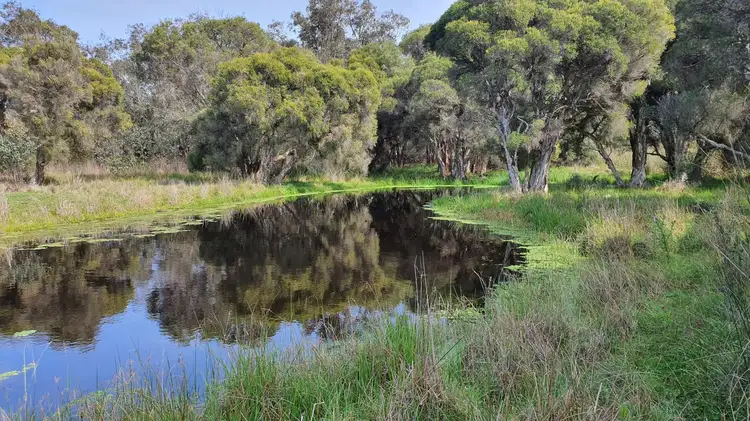Fifth view of Homely rural property listing, Lot 54, Gingin Brook Road, Gingin WA 6503