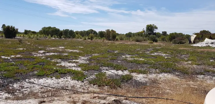 Fourth view of Homely rural property listing, Lot 3483, Sandringham Road, Muckenburra WA 6503