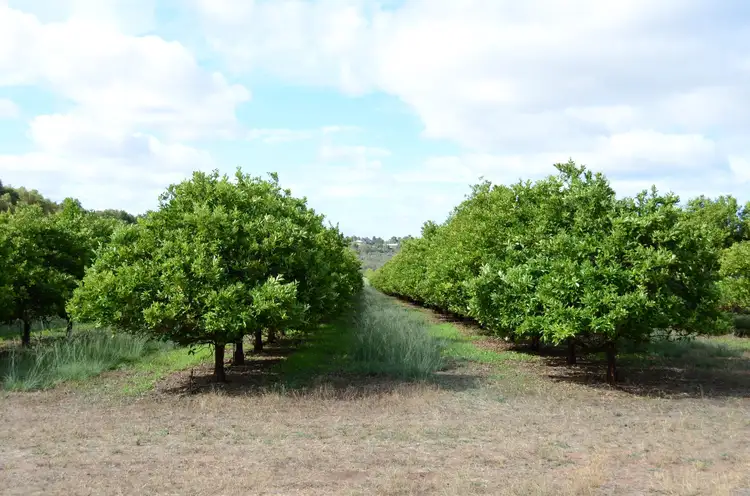 Fifth view of Homely rural property listing, 281 Lennards Brook Road, Lennard Brook WA 6503