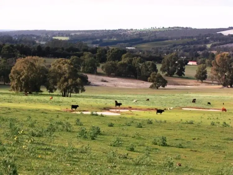 Fourth view of Homely rural property listing, Lot 285 Coleman Way, Lennard Brook WA 6503