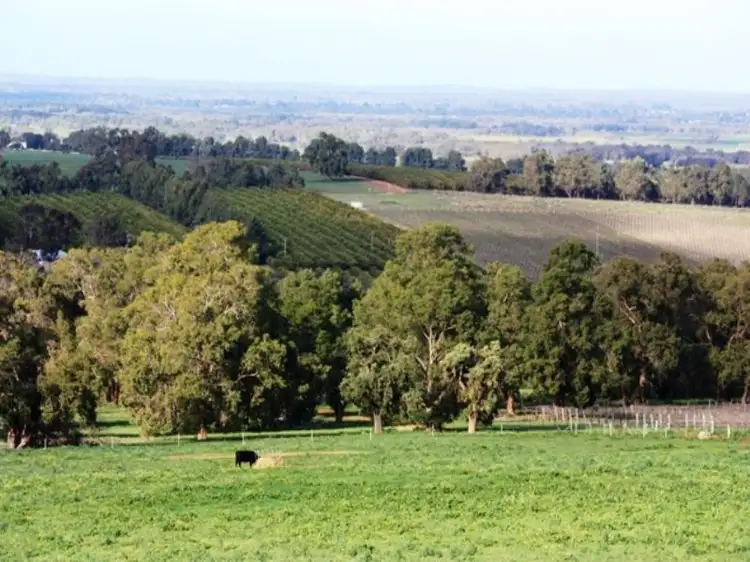 Fifth view of Homely rural property listing, Lot 285 Coleman Way, Lennard Brook WA 6503