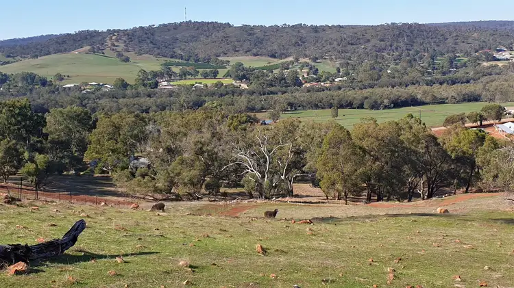 Fourth view of Homely land listing, 99 Ridgetop Ramble, Bindoon WA 6502
