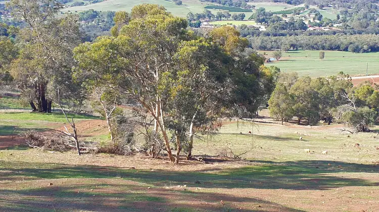 Sixth view of Homely land listing, 99 Ridgetop Ramble, Bindoon WA 6502