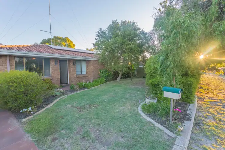 Main view of Homely house listing, 19 Waterwitch Street, Carey Park WA 6230