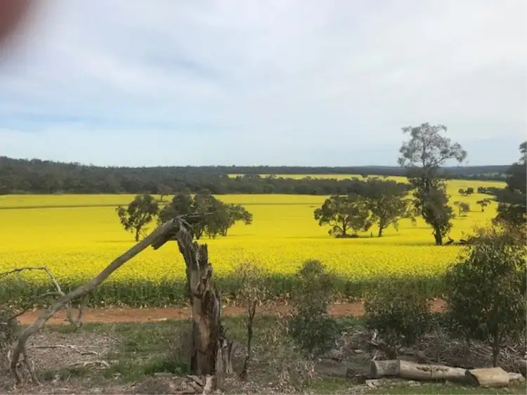 Lot 60, Shearing Rise