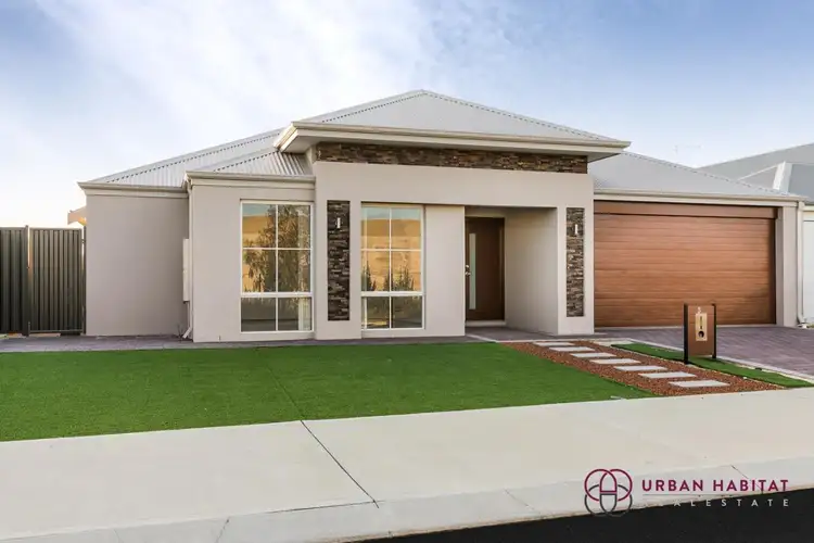 Main view of Homely house listing, 36 Jasper Bend, Wellard WA 6170