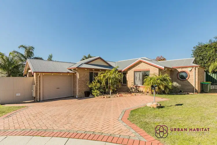 Main view of Homely house listing, 8 Acalypha View, Yangebup WA 6164