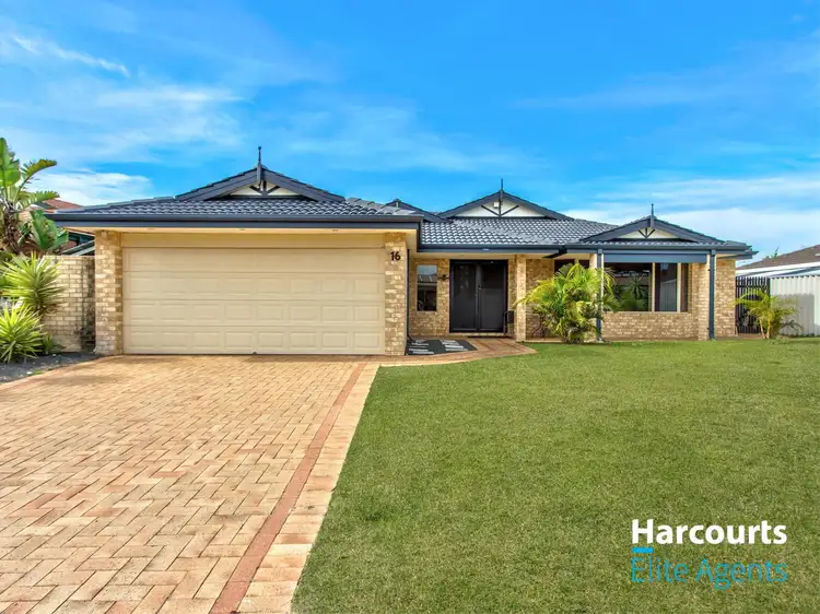 Main view of Homely house listing, 16 Silvertop Circle, Warnbro WA 6169