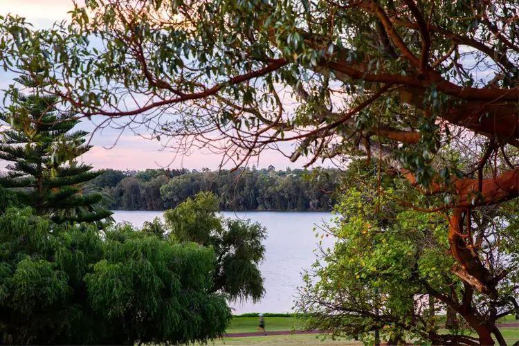 Second view of Homely house listing, 16 Clune Avenue, West Leederville WA 6007