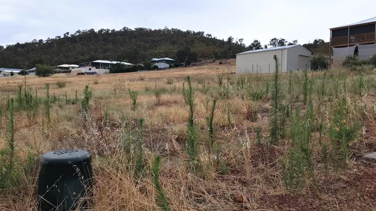 Third view of Homely land listing, Lot 81, Flame Street, Bindoon WA 6502