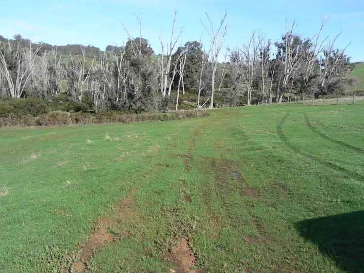 Fifth view of Homely rural property listing, 443 Thomson Brook Road, Thomson Brook WA 6239