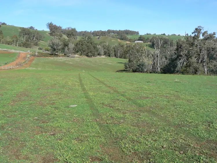 Seventh view of Homely rural property listing, 443 Thomson Brook Road, Thomson Brook WA 6239