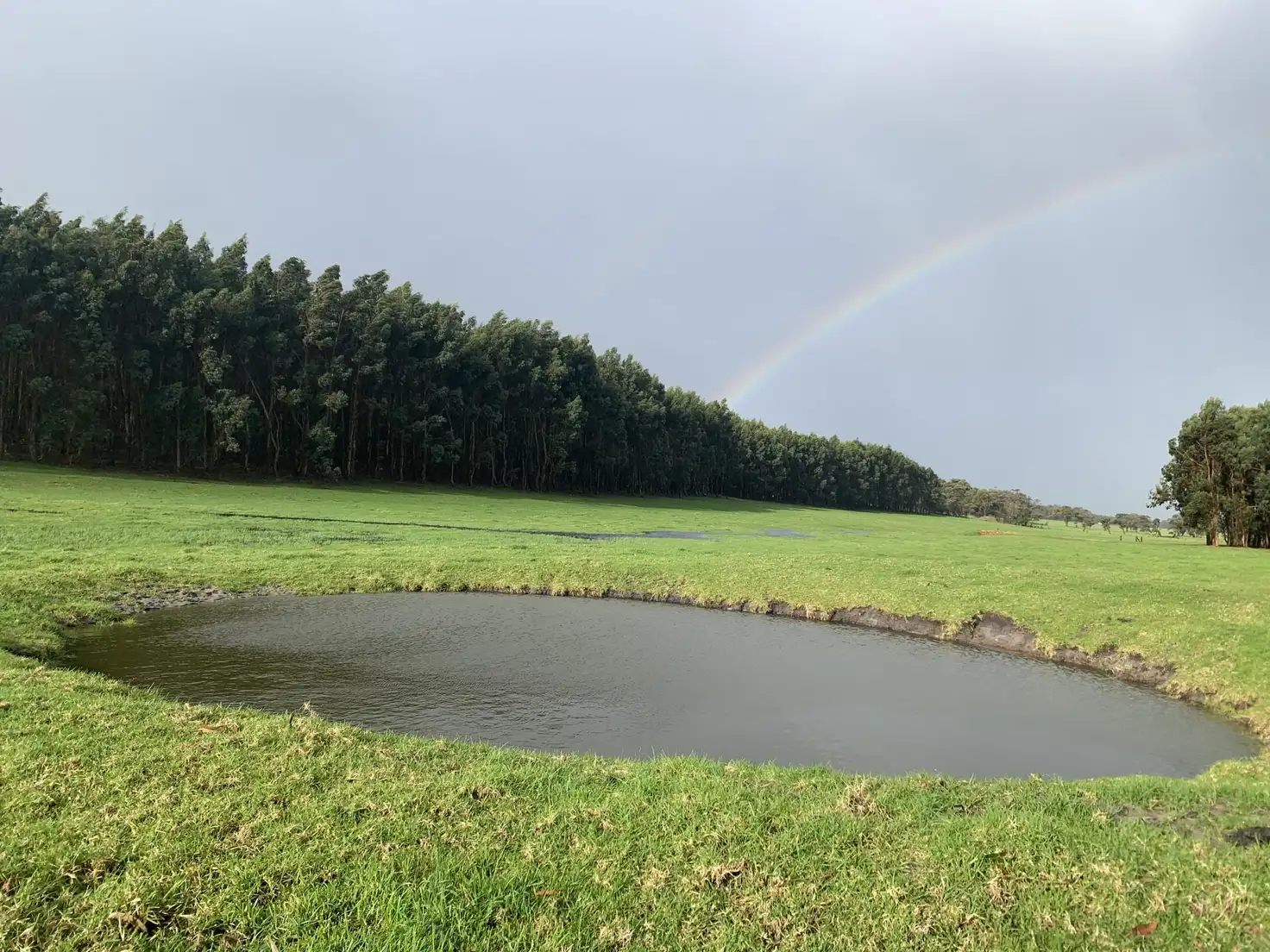 Main view of Homely rural property listing, Lot 4170 Marsh Road, Warner Glen WA 6288