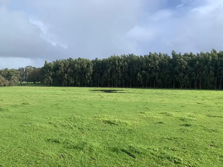 Fifth view of Homely rural property listing, Lot 4170 Marsh Road, Warner Glen WA 6288