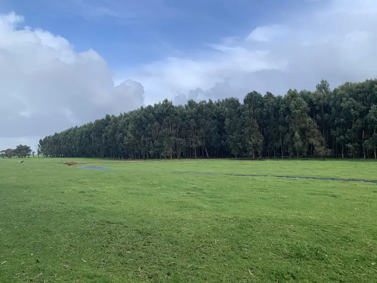 Sixth view of Homely rural property listing, Lot 4170 Marsh Road, Warner Glen WA 6288