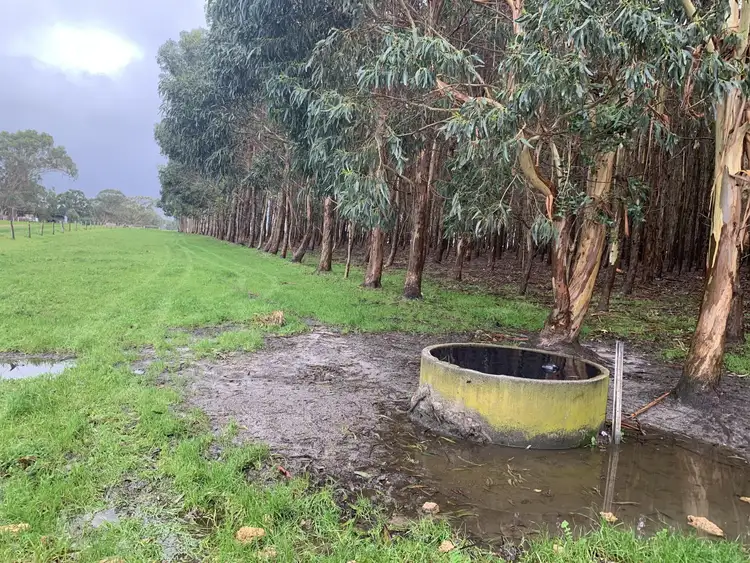 Seventh view of Homely rural property listing, Lot 4170 Marsh Road, Warner Glen WA 6288