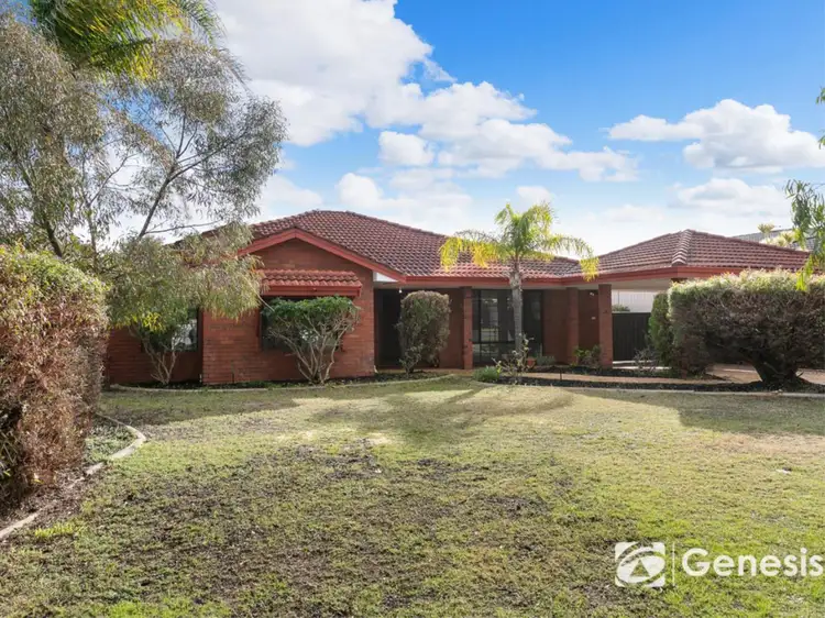 29 Wattle Drive, Morley WA 6062