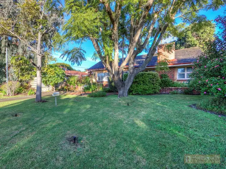 Second view of Homely house listing, 19 Roscorla Avenue, Yokine WA 6060