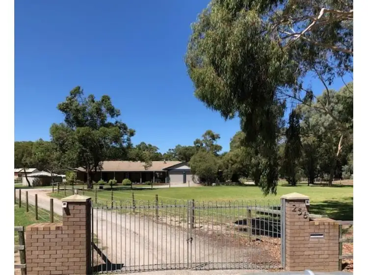 Main view of Homely house listing, 256 Hopkinson Rd, Darling Downs WA 6122