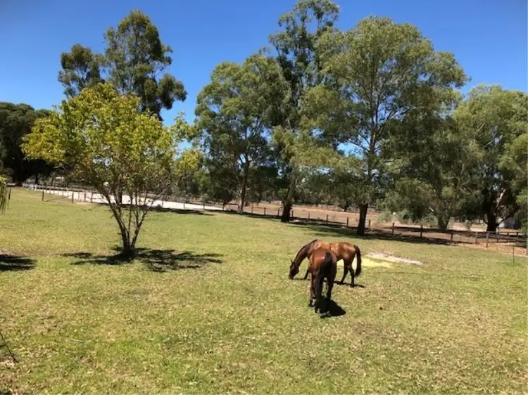 Third view of Homely house listing, 256 Hopkinson Rd, Darling Downs WA 6122